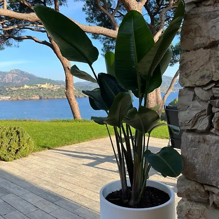 别墅 La Guardiola - Capo Perla *